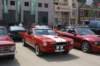 dsc02310_small.jpg