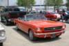 dsc02316_small.jpg