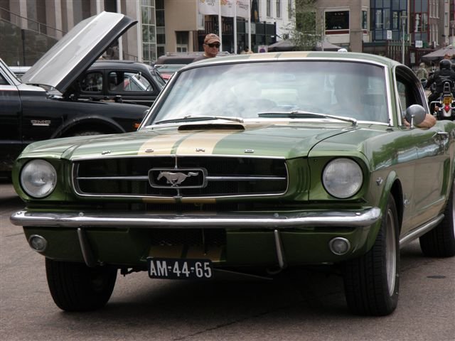p6300057.jpg